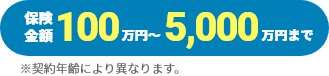 保険金額100万円～5,000万円まで ※契約年齢により異なります。