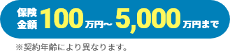 保険金額100万円～5,000万円まで ※契約年齢により異なります。