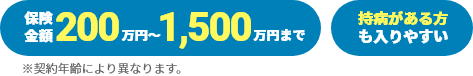 ・保険金額200万円～1,500万円まで ・持病がある方でも入りやすい ※契約年齢により異なります。