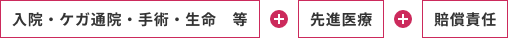 入院・ケガ通院・手術・生命　等+先進医療+賠償責任