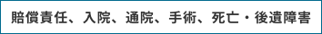 賠償責任、入院、通院、手術、死亡・後遺障害