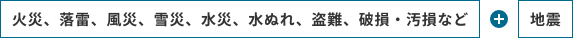 火災、落雷、風災、雪災、水災、水ぬれ、盗難、破損・汚損など+地震