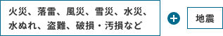 火災、落雷、風災、雪災、水災、水ぬれ、盗難、破損・汚損など+地震