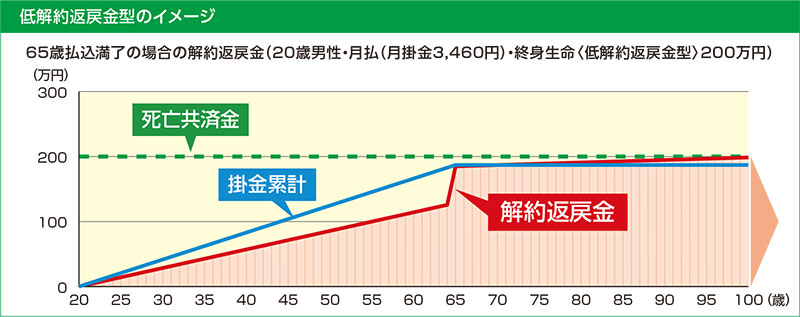 保障内容